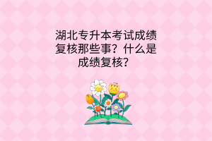 湖北专升本考试成绩复核那些事？什么是成绩复核？