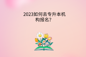 2023如何去专升本机构报名？