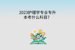 护理学专业专升本考什么科目？