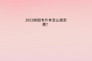 2023统招专升本怎么报志愿？