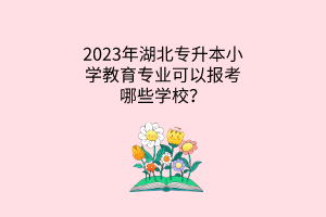 2023年湖北专升本小学教育专业可以报考哪些学校？