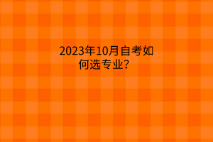 2023年10月自考如何选专业？