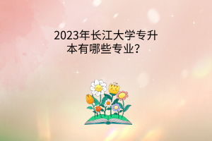 2023年长江大学专升本有哪些专业？