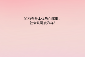 2023专升本优势在哪里，社会认可度咋样?