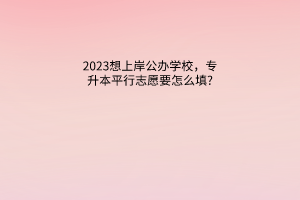 2023想上岸公办学校，专升本平行志愿要怎么填?