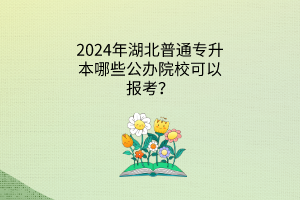 2023年湖北普通专升本有哪些公办院校可以报考？