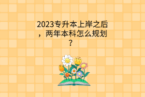 2023专升本上岸之后，两年本科怎么规划？