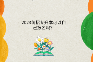 2023统招专升本可以自己报名吗？