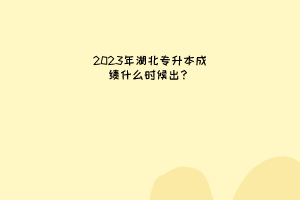 2023年湖北专升本成绩什么时候出？