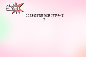 2023如何高效复习专升本？