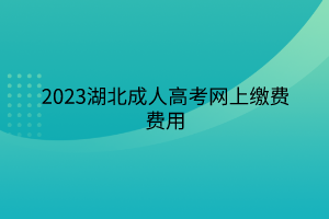 2023湖北成人高考网上缴费费用