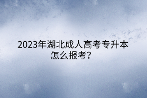 2023年湖北成人高考专升本怎么报考？