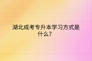 湖北成考专升本学习方式是什么？