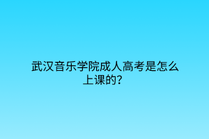 武汉音乐学院成人高考是怎么上课的？