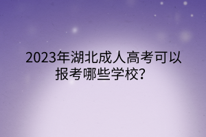 2023年湖北成人高考可以报考哪些学校？