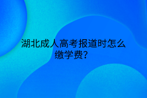 湖北成人高考报道时怎么缴学费？