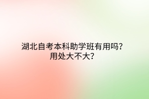 湖北自考本科助学班有用吗？用处大不大？