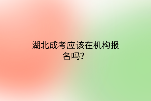 湖北成考应该在机构报名吗？