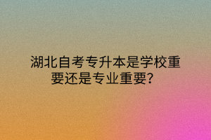 湖北自考专升本是学校重要还是专业重要？