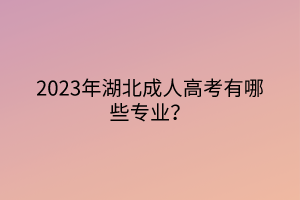 2023年湖北成人高考有哪些专业？