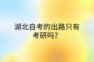 湖北自考的出路只有考研吗？