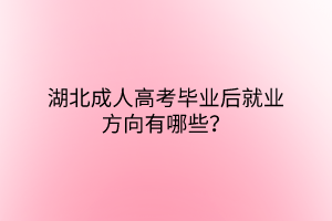 湖北成人高考毕业后就业方向有哪些？