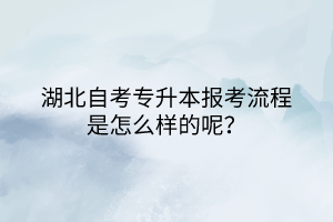 湖北自考专升本报考流程是怎么样的呢？