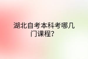 湖北自考本科考哪几门课程？