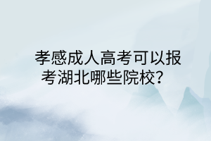  孝感成人高考可以报考湖北哪些院校？