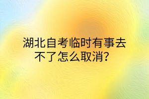 湖北自考临时有事去不了怎么取消？