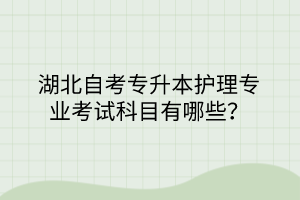 湖北自考专升本护理专业考试科目有哪些？