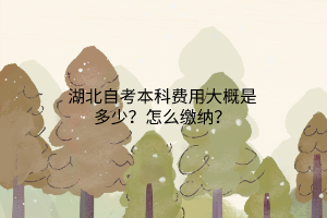 湖北自考本科费用大概是多少？怎么缴纳？