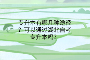 专升本有哪几种途径？可以通过湖北自考专升本吗？