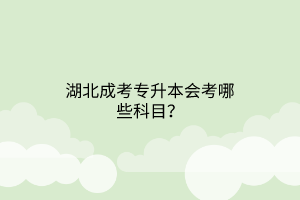 湖北成考专升本会考哪些科目？