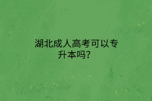 湖北成人高考可以专升本吗？