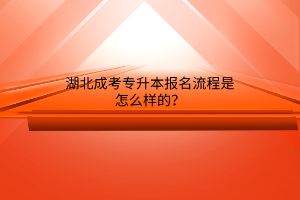 湖北成考专升本报名流程是怎么样的？