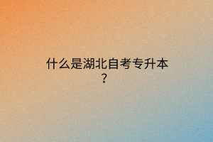 什么是湖北自考专升本？