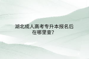 湖北成人高考专升本报名后在哪里查？