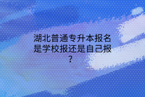 湖北普通专升本学前教育专业可以去哪些学校？