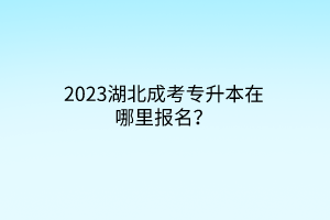 2023湖北成考专升本在哪里报名？