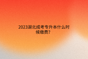 2023湖北成考专升本什么时候缴费？