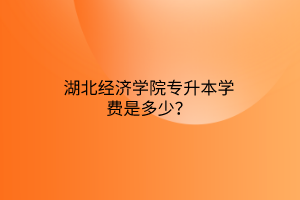 湖北经济学院专升本学费是多少？