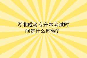 湖北成考专升本考试时间是什么时候？