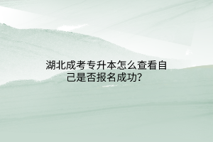 湖北成考专升本怎么查看自己是否报名成功？