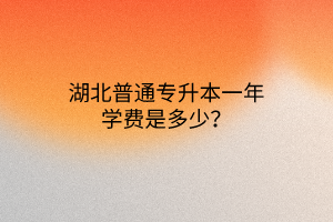 湖北普通专升本一年学费是多少？