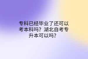 专科已经毕业了还可以考本科吗？湖北自考专升本可以吗？