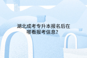 湖北成考专升本报名后在哪看报考信息？