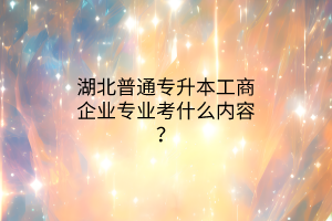 湖北普通专升本工商企业专业考什么内容？