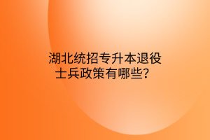 湖北统招专升本退役士兵政策有哪些？