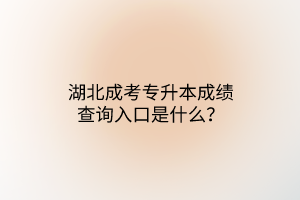 湖北成考专升本成绩查询入口是什么？